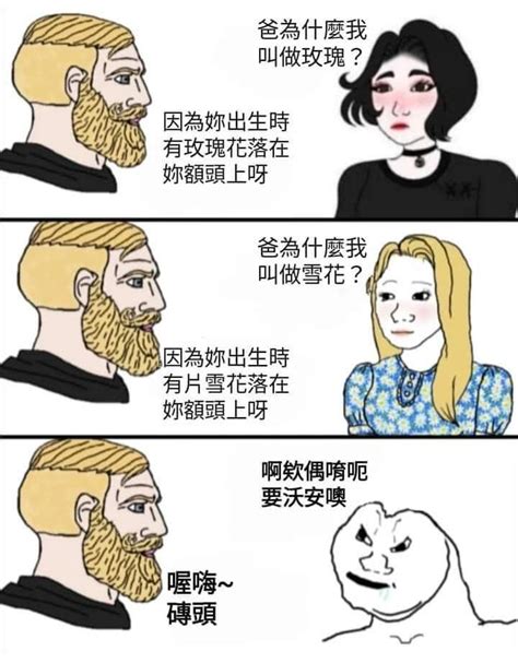 磚頭 梗圖|梗圖板